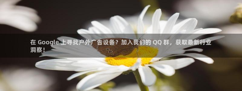 杏宇平台招商怎么样：在 Google 上寻找户外广告设备？加入我们的 QQ 群，获取最新行业
洞察！