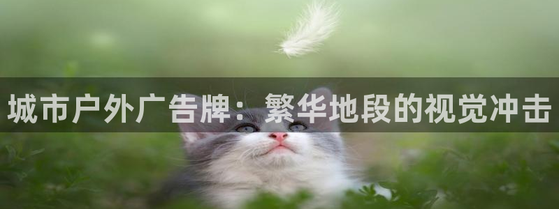 杏宇平台怎么样赚钱
