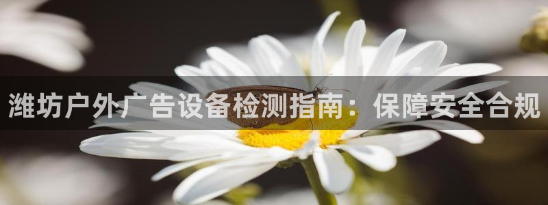 杏宇平台代理怎么赚钱：潍坊户外广告设备检测指南：保障安全合规