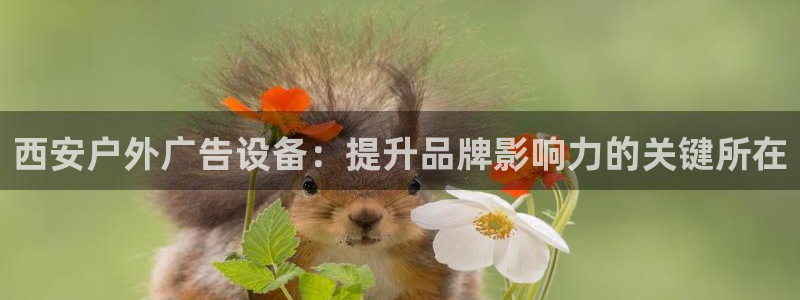 杏宇平台注册地址在哪里：西安户外广告设备：提升品牌影响力的关键所在