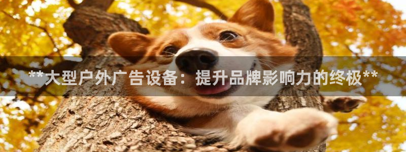 杏宇平台代理多少钱一次：**大型户外广告设备：提升品牌影响力的终极**