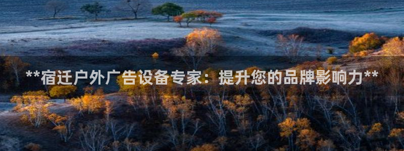 杏宇平台登录步骤是什么：**宿迁户外广告设备专家：提升您的品牌影响力**