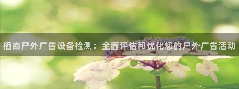 杏宇代理注册：栖霞户外广告设备检测：全面评估和优化您的户外广告活动