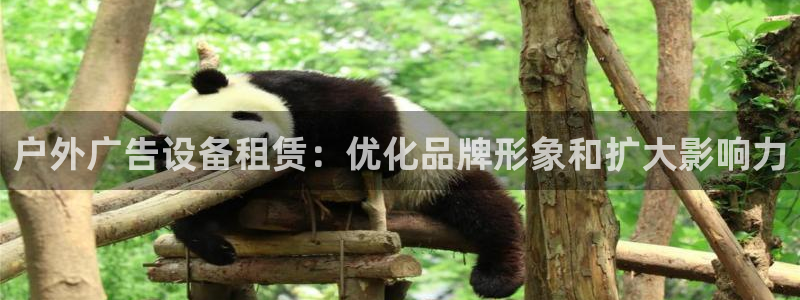 杏宇平台代理怎么样可靠吗：户外广告设备租赁：优化品牌形象和扩大影响力