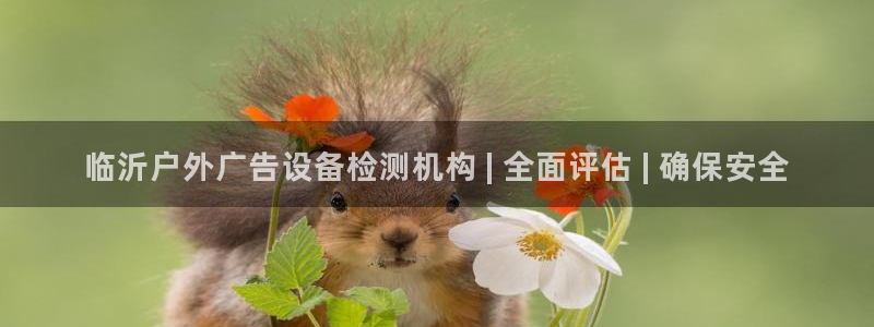 杏宇平台代理怎么样：临沂户外广告设备检测机构 | 全面评估 | 确保安全