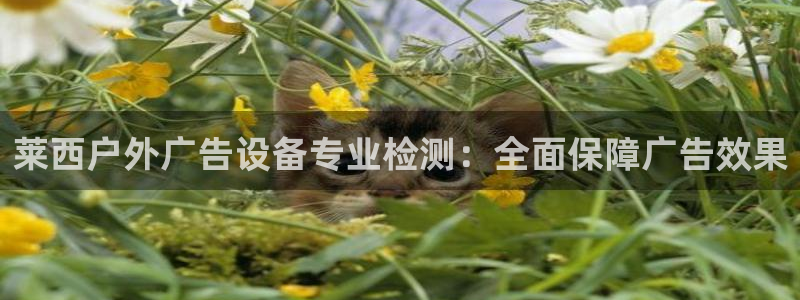 杏宇平台登陆：莱西户外广告设备专业检测：全面保障广告效果