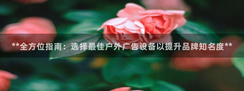 杏宇平台招商电话号码：**全方位指南：选择最佳户外广告设备以提升品牌知名度**