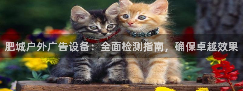 杏宇平台招商：肥城户外广告设备：全面检测指南，确保卓越效果