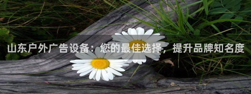 杏宇平台登陆：山东户外广告设备：您的最佳选择，提升品牌知名度