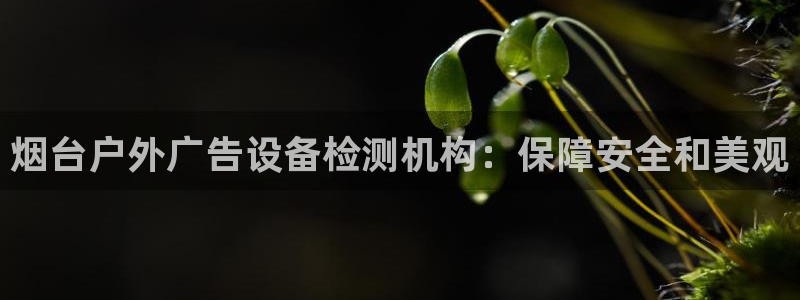 杏宇平台代理怎么赚钱：烟台户外广告设备检测机构：保障安全和美观