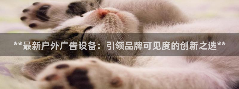 杏宇平台代理多少钱一个：**最新户外广告设备：引领品牌可见度的创新之选**