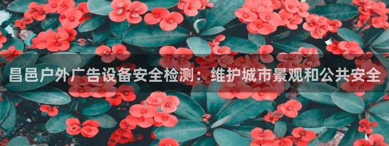 杏宇平台代理怎么样