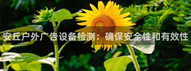 杏宇平台官网注册：安丘户外广告设备检测：确保安全性和有效性