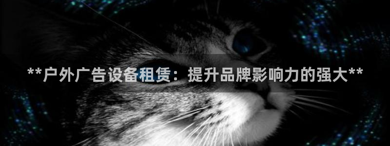 杏宇官方平台官网：**户外广告设备租赁：提升品牌影响力的强大**
