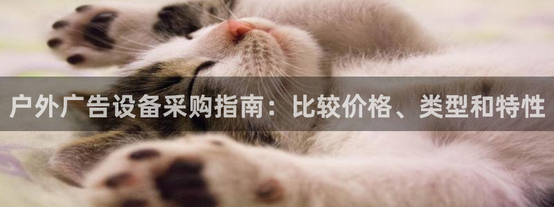 杏宇平台注册地址在哪里：户外广告设备采购指南：比较价格、类型和特性