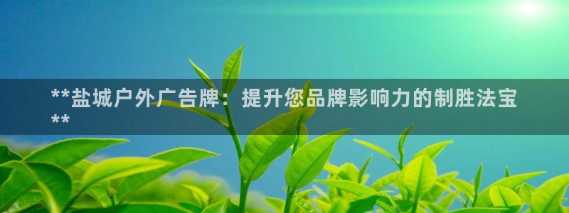 杏宇官方平台官网下载