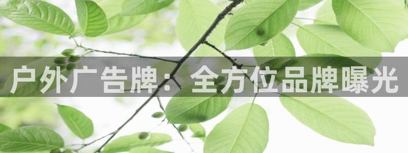 杏宇官方平台官网入口：户外广告牌：全方位品牌曝光