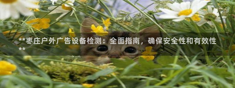 杏宇代理注册：**枣庄户外广告设备检测：全面指南，确保安全性和有效性
**