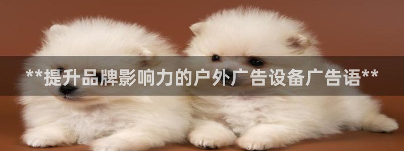 杏宇平台登录步骤图：**提升品牌影响力的户外广告设备广告语**