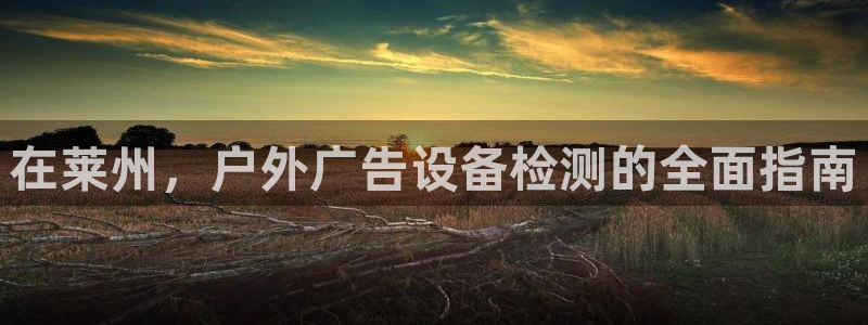 杏宇平台招商电话号码：在莱州，户外广告设备检测的全面指南