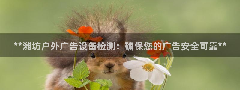 杏宇平台代理多少钱一个：**潍坊户外广告设备检测：确保您的广告安全可靠**