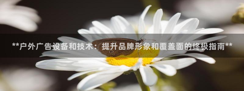 杏宇平台登陆：**户外广告设备和技术：提升品牌形象和覆盖面的终极指南**