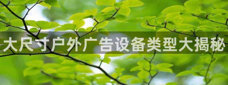 杏宇平台登陆
