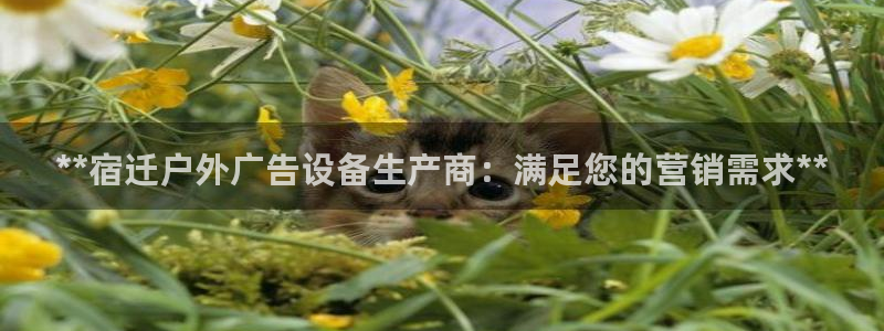 杏宇平台招商电话号码：**宿迁户外广告设备生产商：满足您的营销需求**