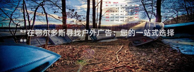 杏宇平台登录步骤图：**在鄂尔多斯寻找户外广告：您的一站式选择
**
