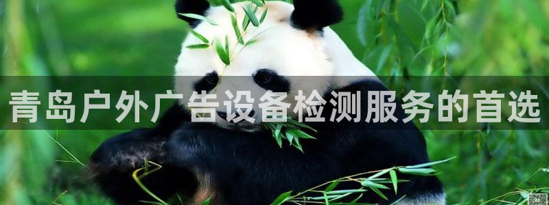 杏宇平台怎么样：青岛户外广告设备检测服务的首选