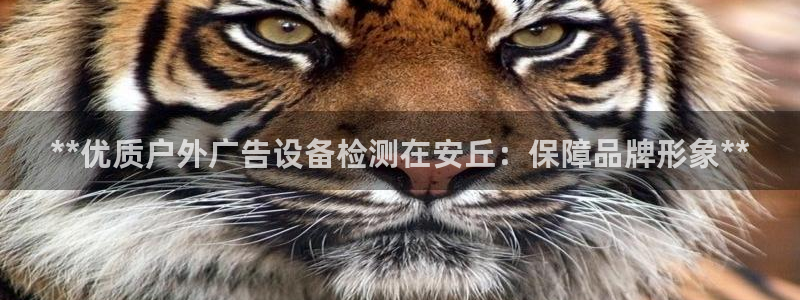 杏宇平台总代理：**优质户外广告设备检测在安丘：保障品牌形象**
