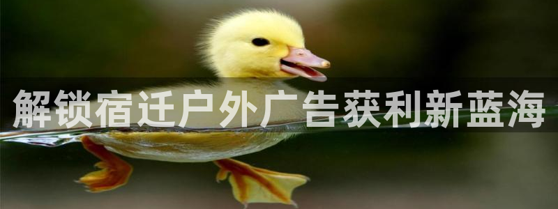 杏宇平台代理多少钱：解锁宿迁户外广告获利新蓝海