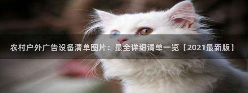 杏宇平台总代理是谁：农村户外广告设备清单图片：最全详细清单一览【2021最新版】
