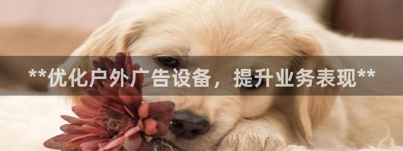 杏宇平台招商电话号码：**优化户外广告设备，提升业务表现**