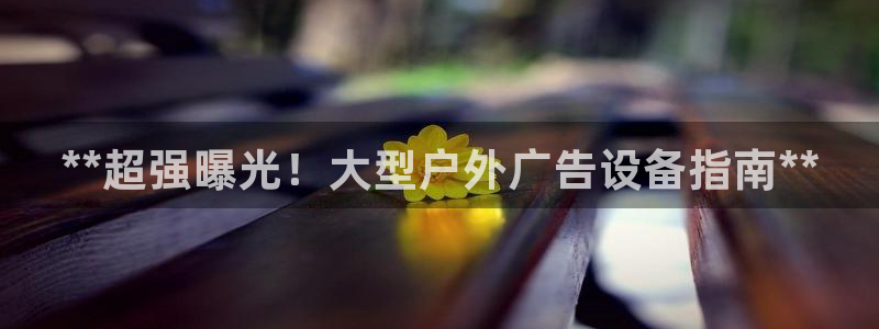 杏宇平台总代理：**超强曝光！大型户外广告设备指南**