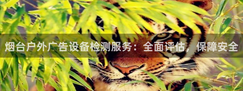 杏宇平台代理怎么样啊：烟台户外广告设备检测服务：全面评估，保障安全