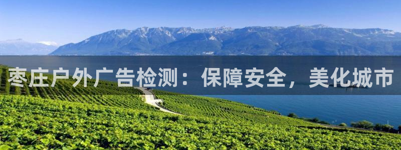 杏宇平台怎么样知乎：枣庄户外广告检测：保障安全，美化城市