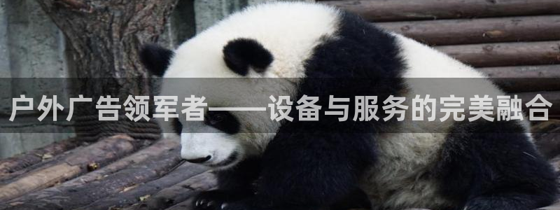 杏宇平台注册地址：户外广告领军者——设备与服务的完美融合