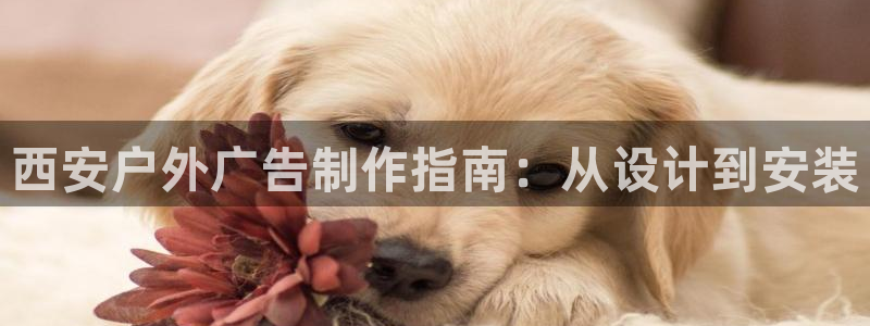 杏宇平台注册地址：西安户外广告制作指南：从设计到安装