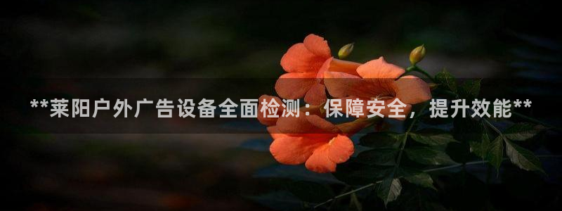 杏宇平台注册地址在哪里：**莱阳户外广告设备全面检测：保障安全，提升效能**