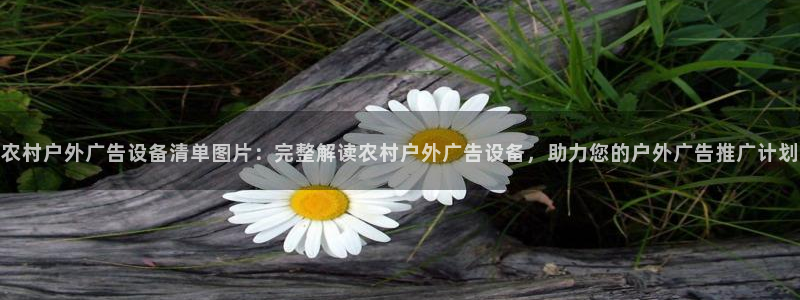 杏宇平台登录步骤是什么：农村户外广告设备清单图片：完整解读农村户外广告设备，助力您的户外广告推广计划