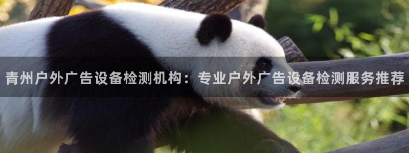 杏宇平台登录步骤是什么：青州户外广告设备检测机构：专业户外广告设备检测服务推荐