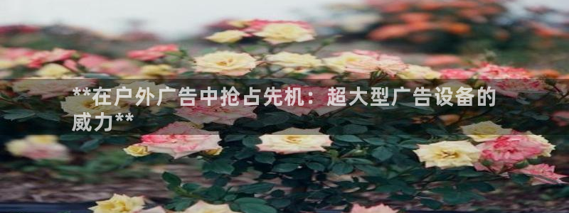 杏宇平台登陆：**在户外广告中抢占先机：超大型广告设备的
威力**
