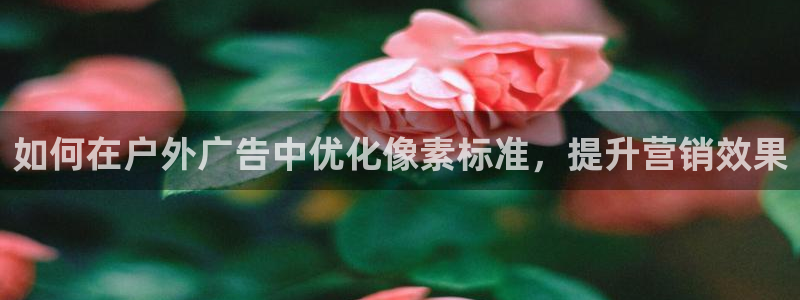 杏宇平台登录方法：如何在户外广告中优化像素标准，提升营销效果