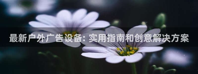 杏宇平台代理多少钱：最新户外广告设备: 实用指南和创意解决方案