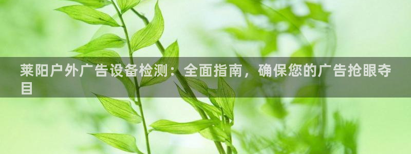杏宇平台招商电话号码：莱阳户外广告设备检测：全面指南，确保您的广告抢眼夺
目