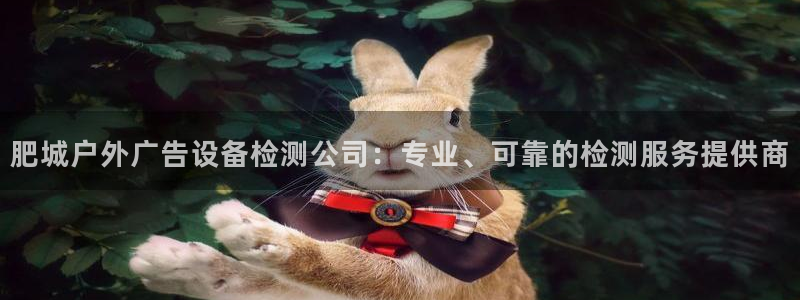 杏宇平台招商电话号码：肥城户外广告设备检测公司：专业、可靠的检测服务提供商