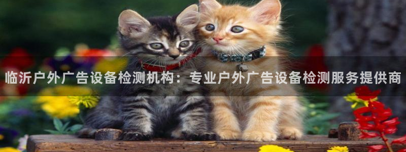 杏宇平台登陆：临沂户外广告设备检测机构：专业户外广告设备检测服务提供商