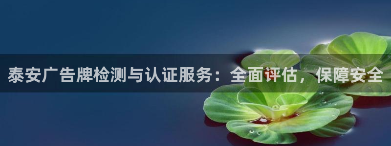 杏宇平台代理怎么赚钱：泰安广告牌检测与认证服务：全面评估，保障安全