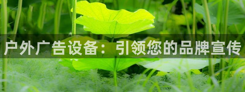 杏宇平台开户：户外广告设备：引领您的品牌宣传